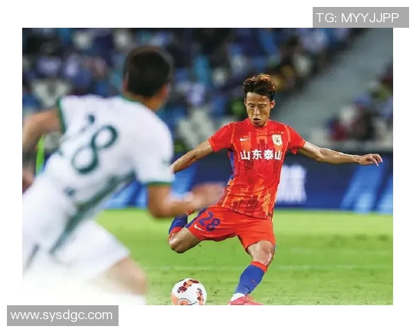 天空与山猫的精彩对决结果揭晓引发球迷热议与期待